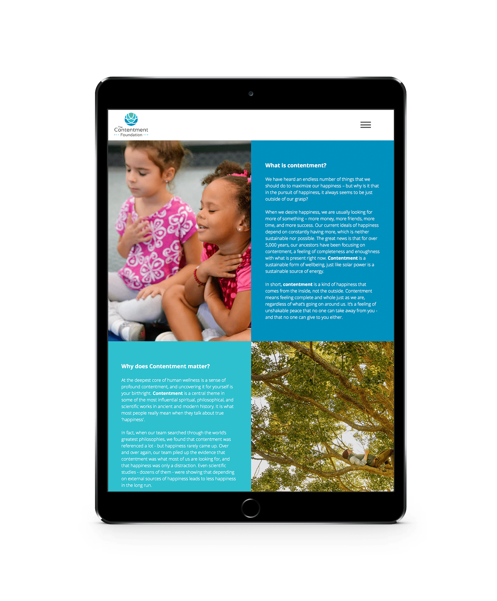 Web Contentment Desarrollado por Fluo Mx